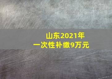 山东2021年一次性补缴9万元