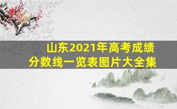 山东2021年高考成绩分数线一览表图片大全集