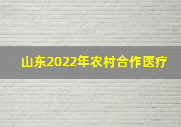 山东2022年农村合作医疗