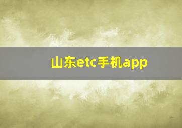 山东etc手机app