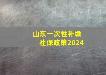 山东一次性补缴社保政策2024