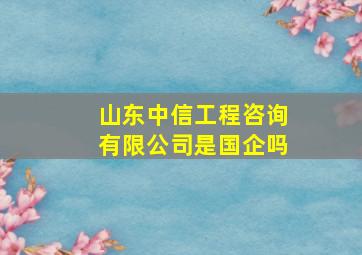 山东中信工程咨询有限公司是国企吗