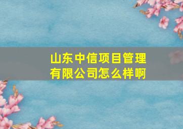 山东中信项目管理有限公司怎么样啊