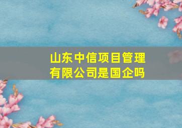 山东中信项目管理有限公司是国企吗