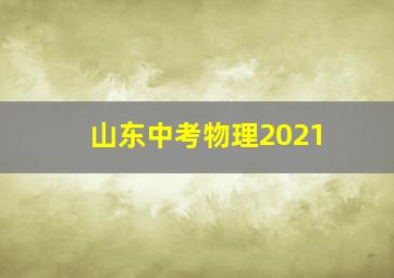 山东中考物理2021