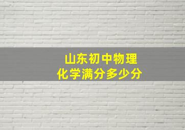 山东初中物理化学满分多少分