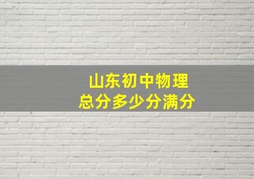 山东初中物理总分多少分满分