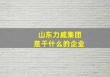 山东力威集团是干什么的企业