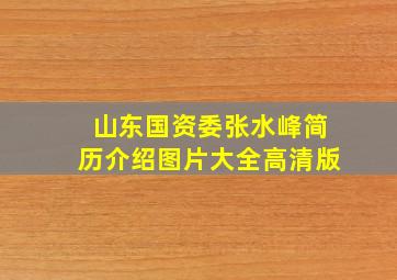 山东国资委张水峰简历介绍图片大全高清版