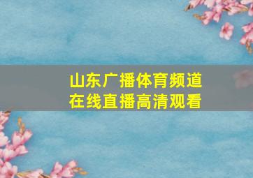 山东广播体育频道在线直播高清观看