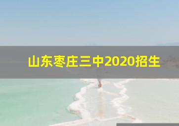 山东枣庄三中2020招生