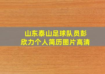 山东泰山足球队员彭欣力个人简历图片高清