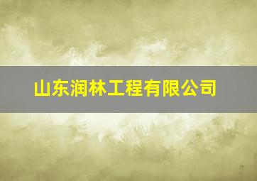 山东润林工程有限公司