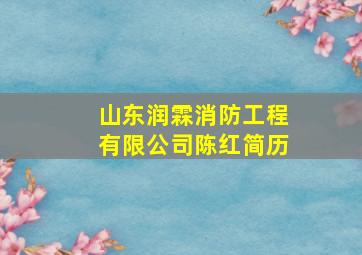 山东润霖消防工程有限公司陈红简历