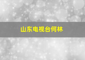 山东电视台何林