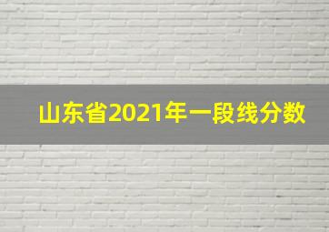 山东省2021年一段线分数