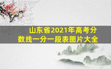 山东省2021年高考分数线一分一段表图片大全