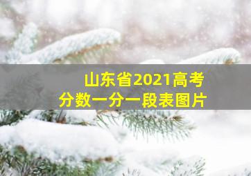 山东省2021高考分数一分一段表图片