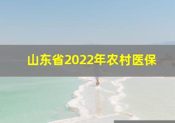 山东省2022年农村医保