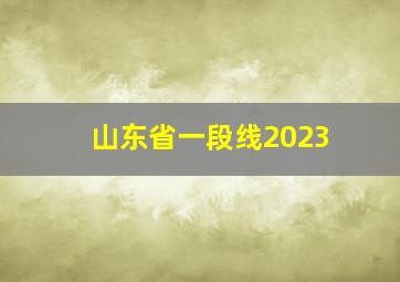 山东省一段线2023