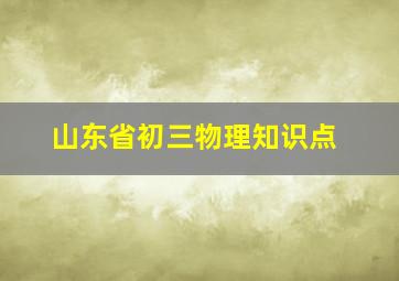 山东省初三物理知识点