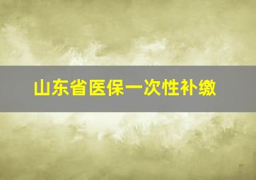 山东省医保一次性补缴