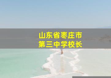 山东省枣庄市第三中学校长