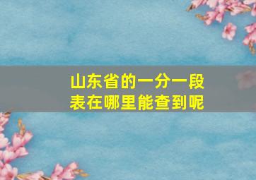 山东省的一分一段表在哪里能查到呢