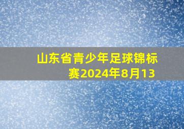 山东省青少年足球锦标赛2024年8月13