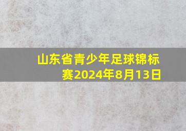 山东省青少年足球锦标赛2024年8月13日