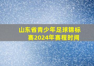 山东省青少年足球锦标赛2024年赛程时间