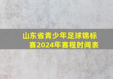 山东省青少年足球锦标赛2024年赛程时间表