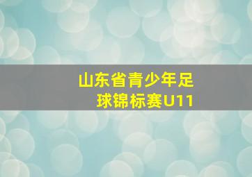 山东省青少年足球锦标赛U11