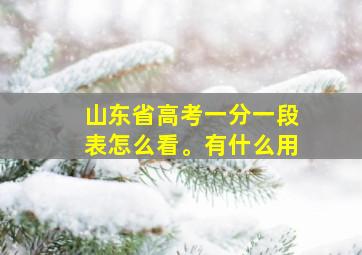 山东省高考一分一段表怎么看。有什么用