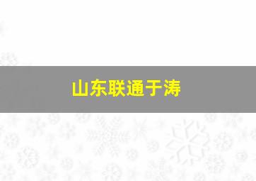 山东联通于涛