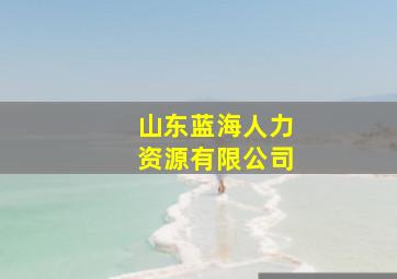 山东蓝海人力资源有限公司