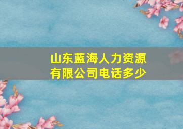 山东蓝海人力资源有限公司电话多少