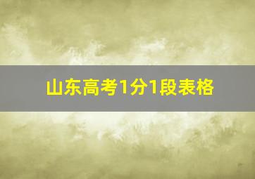 山东高考1分1段表格