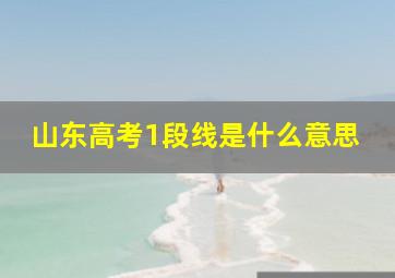 山东高考1段线是什么意思