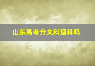 山东高考分文科理科吗