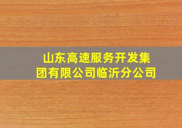 山东高速服务开发集团有限公司临沂分公司