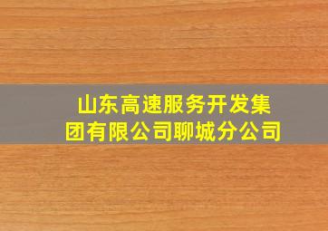 山东高速服务开发集团有限公司聊城分公司