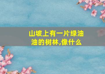 山坡上有一片绿油油的树林,像什么