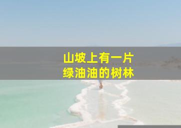 山坡上有一片绿油油的树林