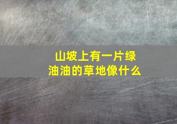 山坡上有一片绿油油的草地像什么