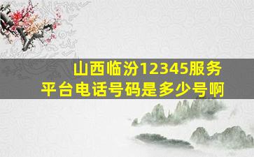 山西临汾12345服务平台电话号码是多少号啊