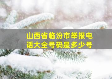 山西省临汾市举报电话大全号码是多少号