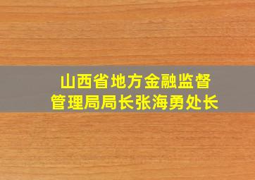 山西省地方金融监督管理局局长张海勇处长