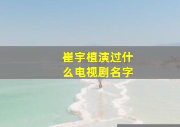 崔宇植演过什么电视剧名字