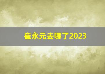 崔永元去哪了2023